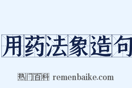 用药法象造句是什么意思的图片